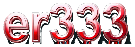 er333 logo